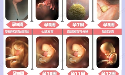 鱼子酱面膜 正牌-德国鱼子酱面膜的功效网 :分享法国鱼子酱-德国鱼子酱面膜的功效怎么样知识